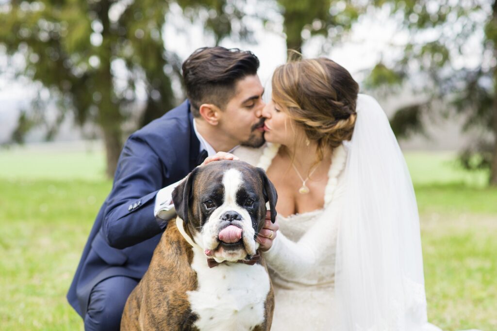 Learn how to include your pet in your wedding with professional wedding pet care services. Stress-free, safe, and photo-ready!