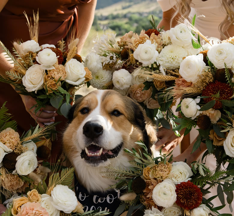 A dog looking up from the middle of the bridesmaids' bouquets at a wedding