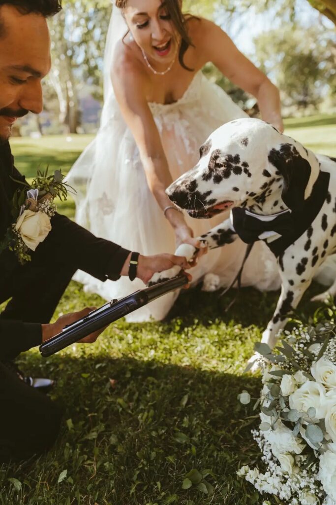 Couple posing with their Dalmatian after the ceremony