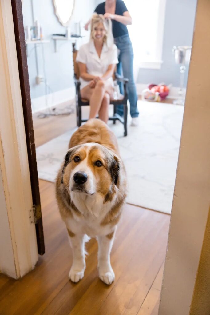 Bride getting ready with her dog beside her
