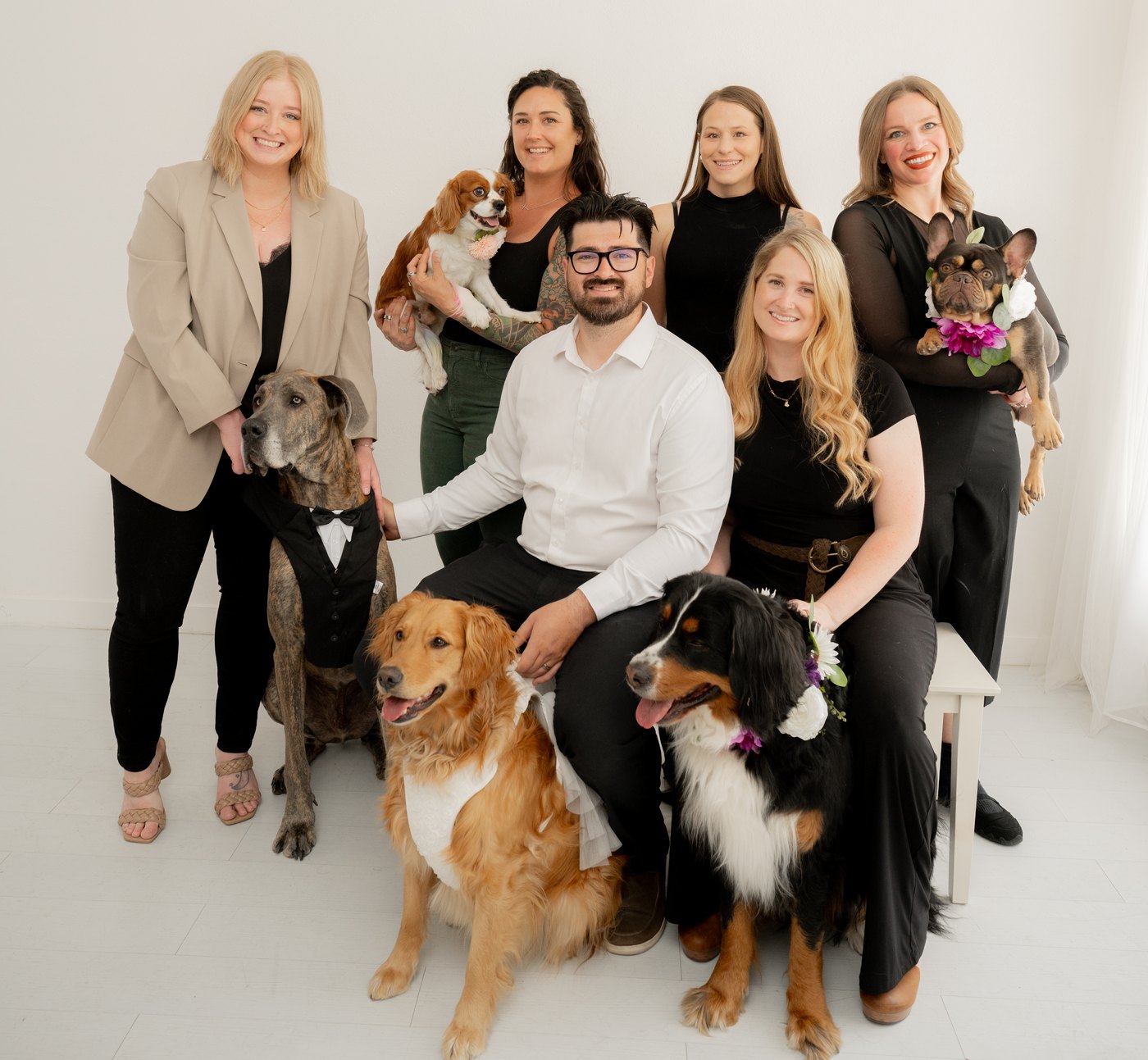 The Here Comes the Floof team with their dogs in wedding collars and bow ties